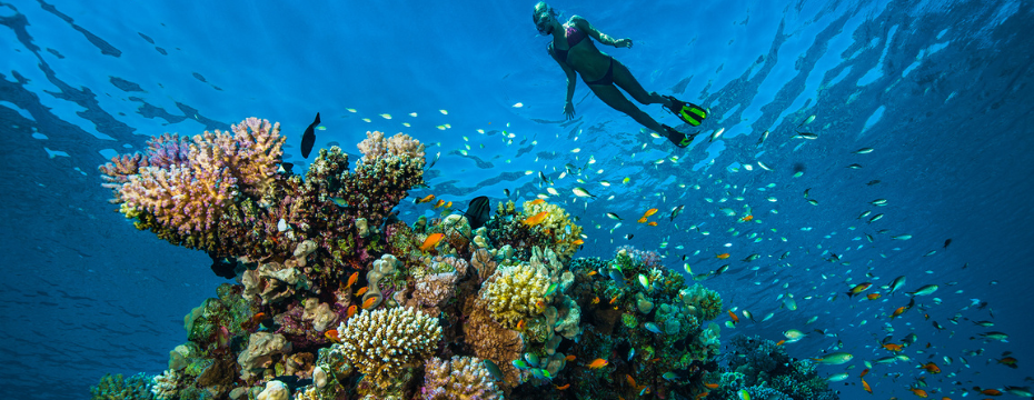 Major biodiversity threats that place our planet in danger